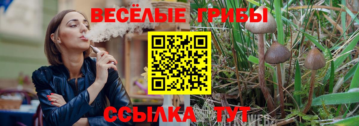 Галлюциногенные грибы GOLDEN TEACHER  Вход с VPN  Гатчина  Галлюциногенные грибы Magic Shrooms 