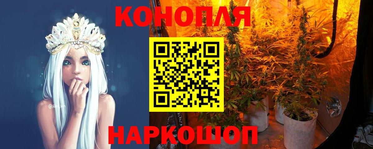 Каннабис семена Гатчина